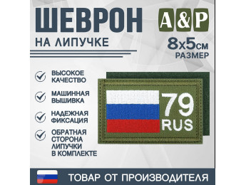 Шеврон на липучке «79 регион». Размер 80х50 мм. Цвет: хаки.