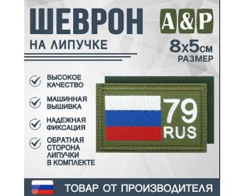Шеврон на липучке «79 регион». Размер 80х50 мм. Цвет: хаки.