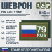 Шеврон на липучке «79 регион». Размер 80х50 мм. 